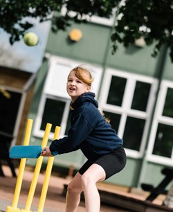 Cricket